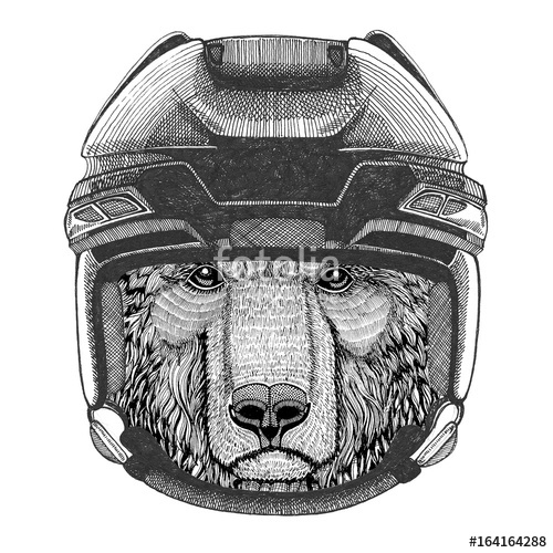 500x500 Brown Bear Russian Bear Hockey Image Wild Animal Wearing Hockey - Hockey Helmet Drawing