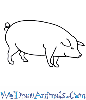 300x350 how to draw a pig - Hoe Drawing