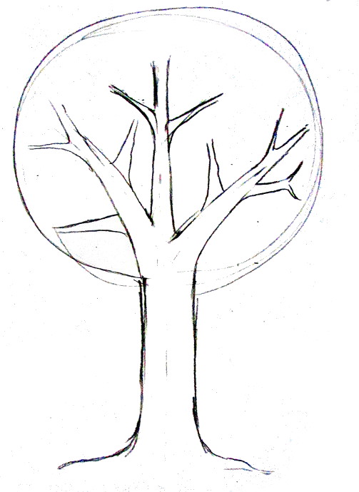 503x690 how to draw a tree - Hoe Drawing