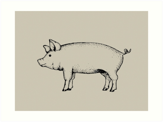 549x413 pig outline art standing pig hog drawing art prints - Hog Drawing