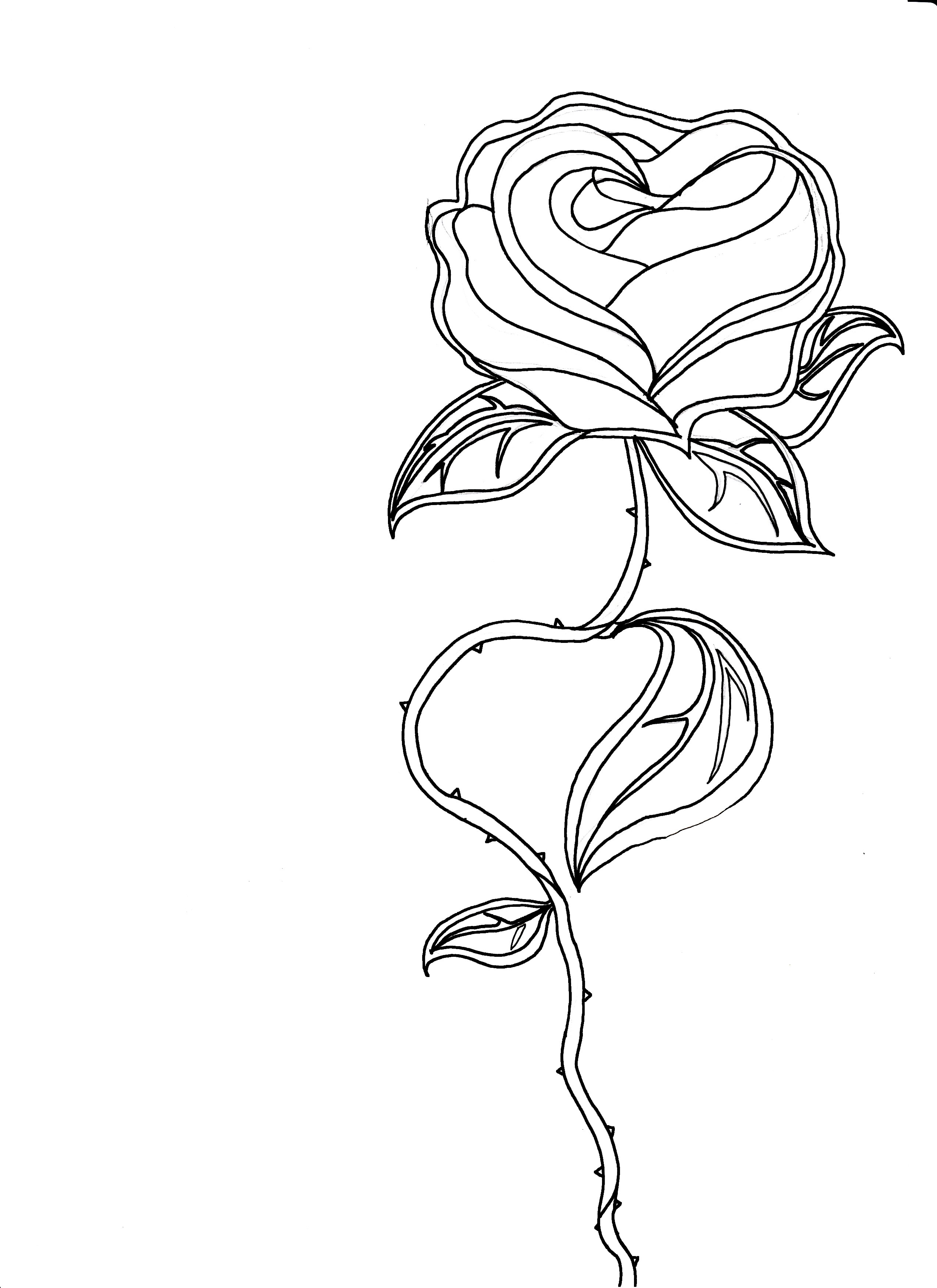 2548x3504 Hand Holding Rose Drawings Tumblr - Holding A Rose Drawing