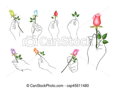 450x341 Hand Holding Rose Flowers With Green Leaves Hand Drawn Sketch Set - Holding A Rose Drawing