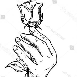 300x300 Holding A Rose Drawing - Holding A Rose Drawing