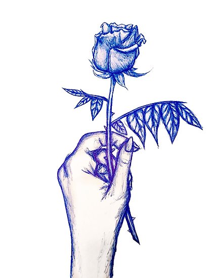 421x550 Ink Drawing Of Hand Holding Rose Photographic Print - Holding A Rose Drawing