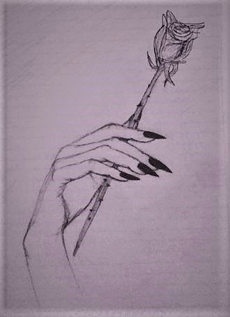 330x454 Black - Holding A Rose Drawing