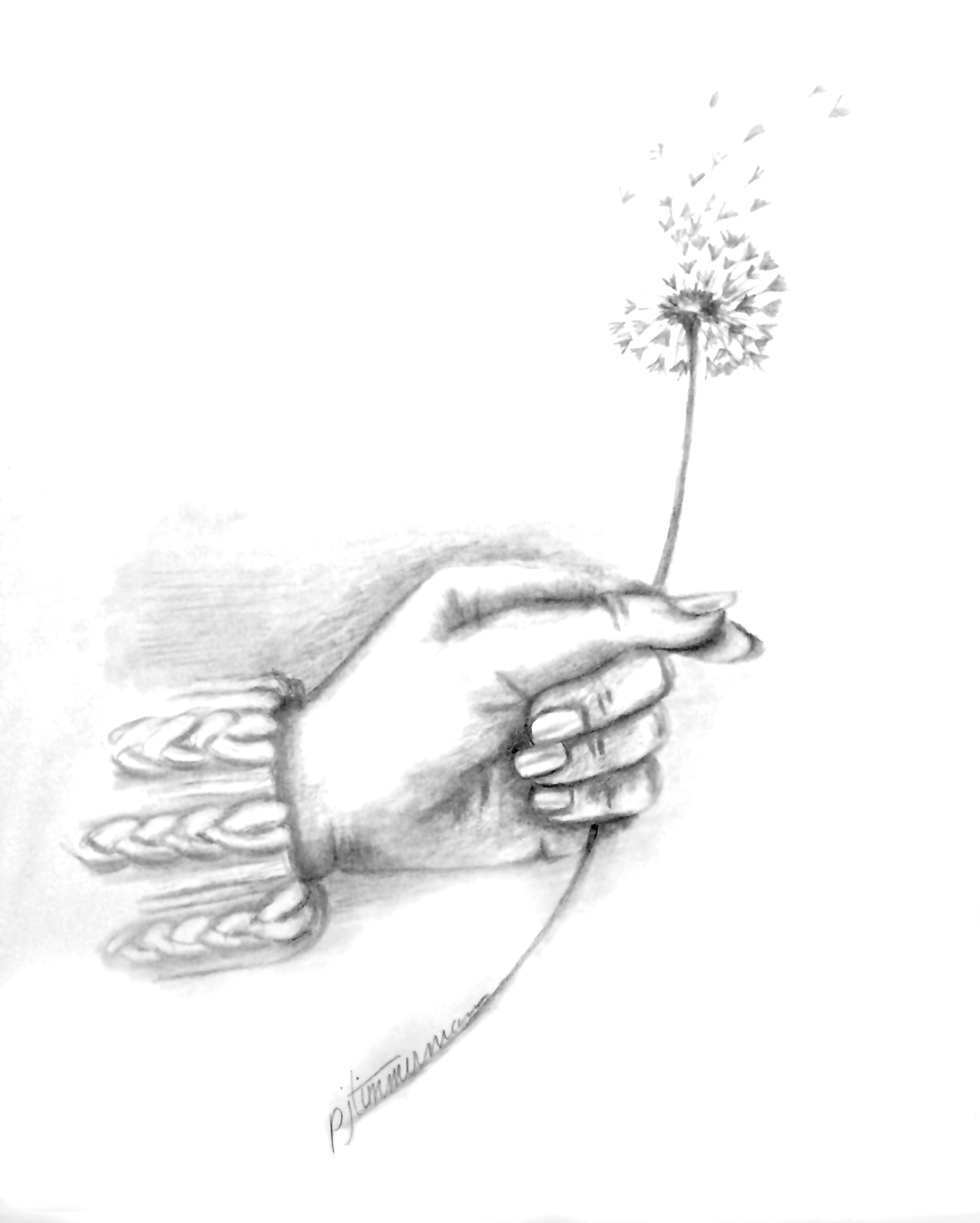 2448x3055 Flowers - Holding A Rose Drawing