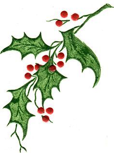 236x316 Holly Leaves - Holly Berry Drawing