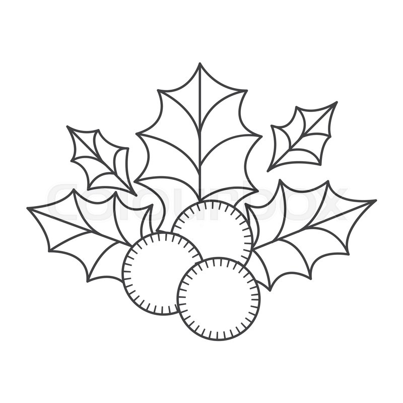 800x800 holly berry christmas decoration stock vector colourbox - Holly Berry Drawing