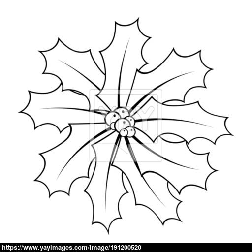 512x512 holly berry outline for christmas isolated on white background - Holly Berry Drawing