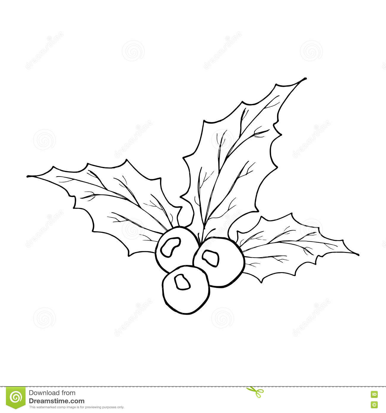 1300x1390 Holly Drawing Free Download - Holly Berry Drawing