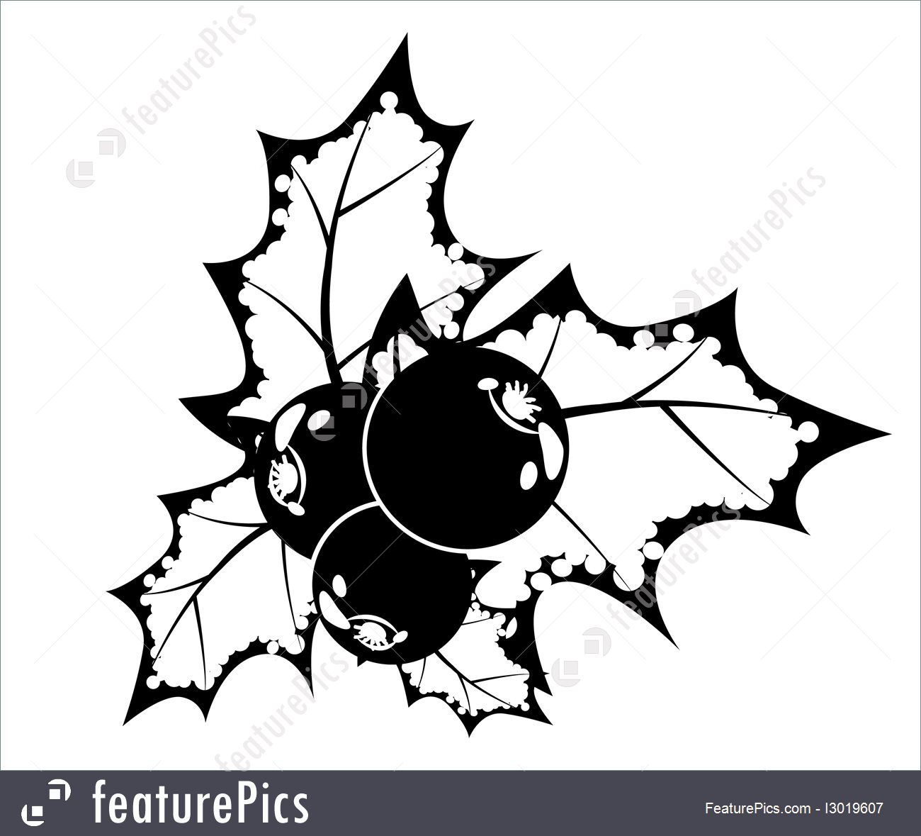 1300x1179 illustration of black and white holly berry - Holly Berry Drawing
