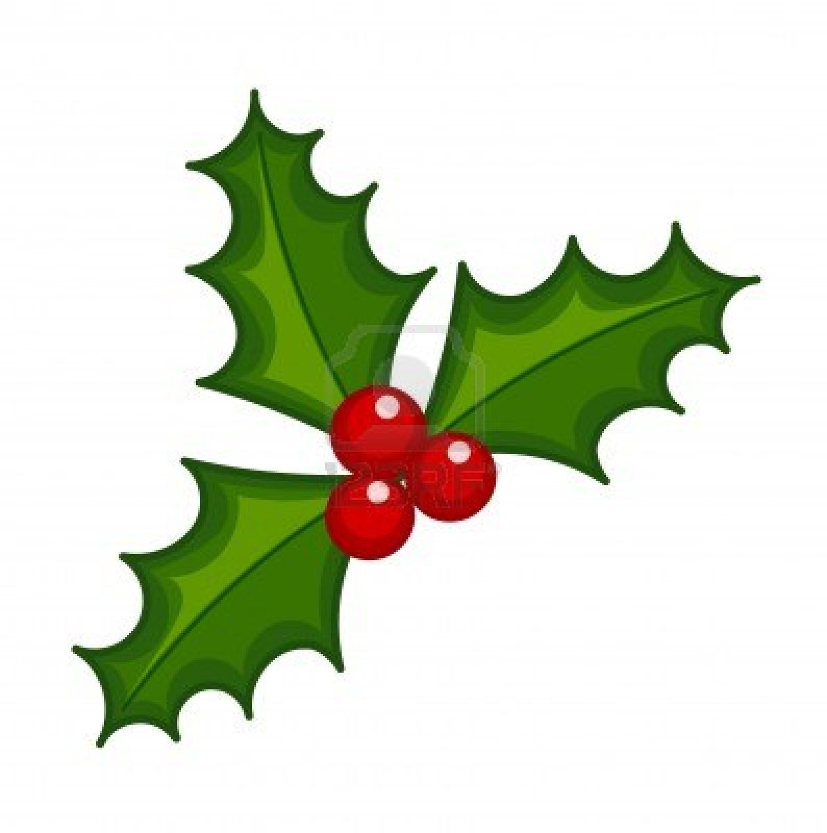 1191x1200 Holly Clipart - Holly Berry Drawing