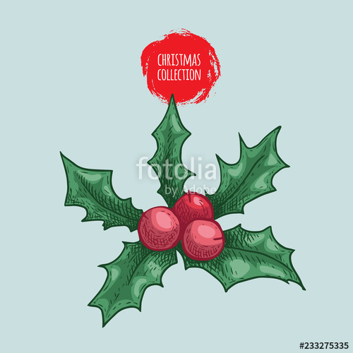 500x500 christmas plant holly berry sketch style hand drawn drawing - Holly Berry Drawing