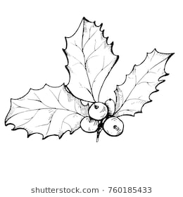 260x280 Collection Of 'holly Line Drawing' Download More Than Images - Holly Berry Drawing