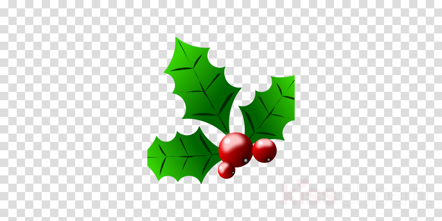 900x450 Drawing, Green, Leaf, Transparent Png Image Clipart Free Download - Holly Berry Drawing