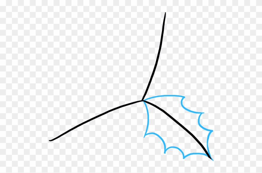 880x581 How To Draw Holly - Holly Drawing