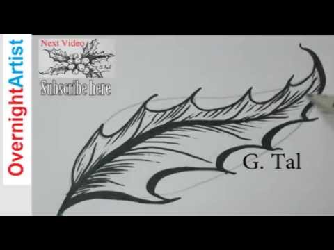 480x360 How To Draw Christmas Leaves - Holly Leaf Drawing