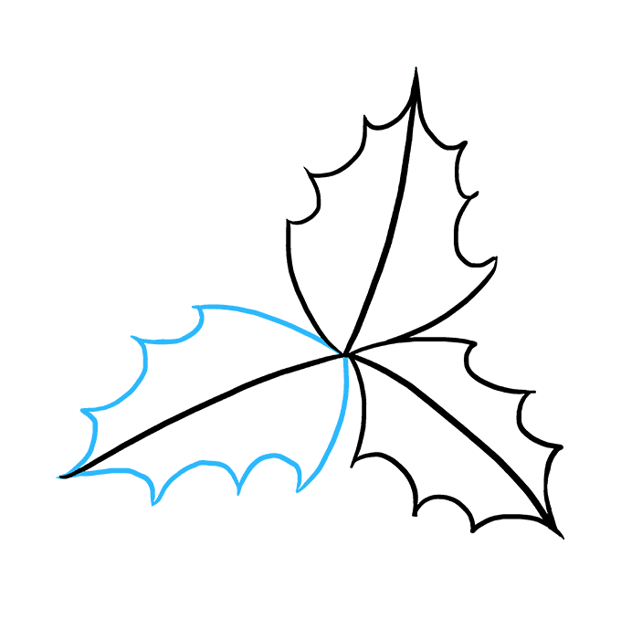 680x678 How To Draw Holly For Christmas - Holly Leaf Drawing