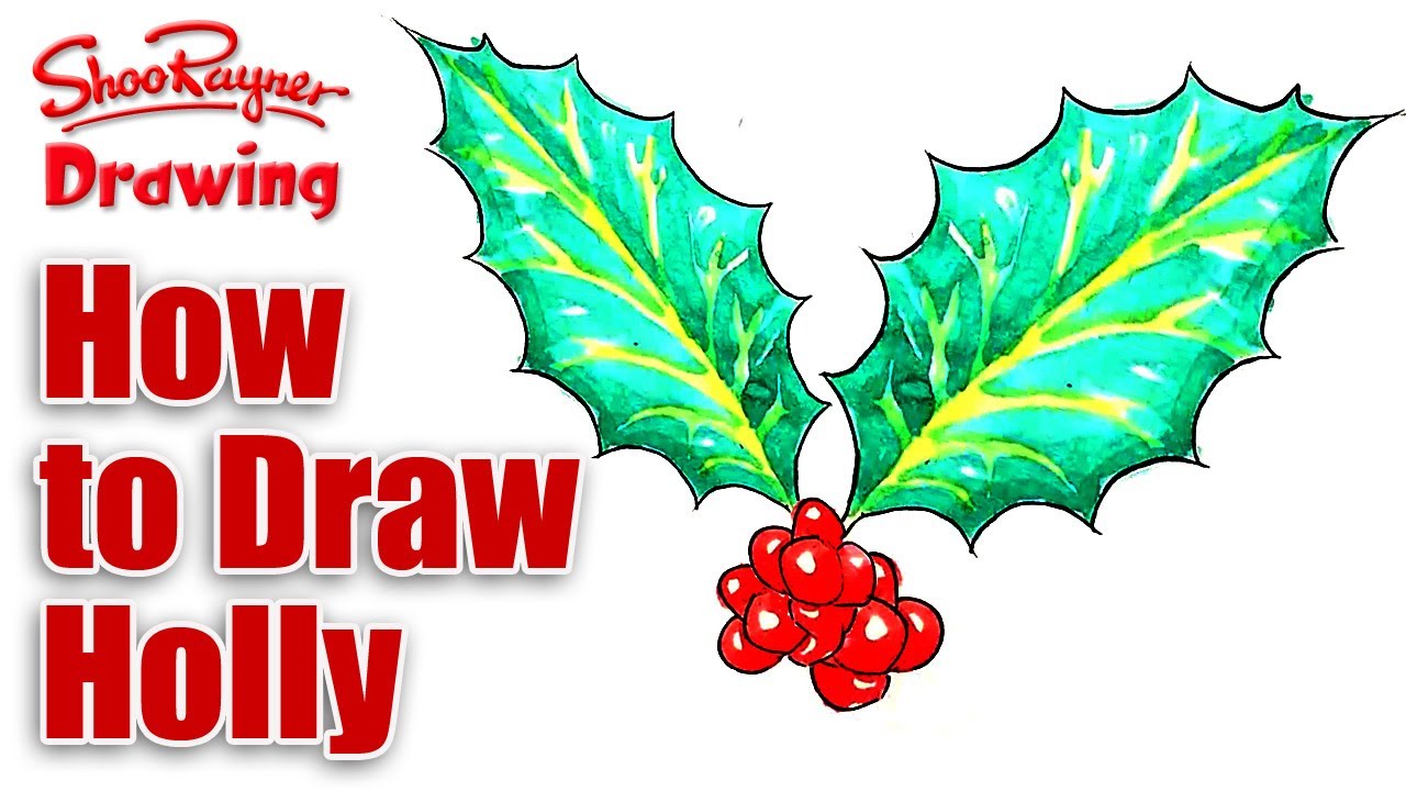 1280x720 How To Draw Christmas Holly - Holly Leaf Drawing