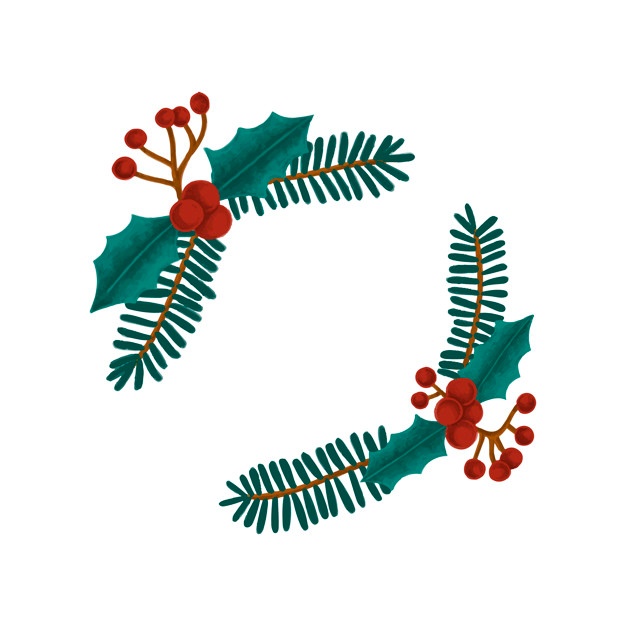 626x626 Holly Leaf Vectors, Photos And Free Download - Holly Leaves And Berries Drawing
