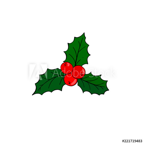 500x500 holly berry or ilex hand drawn christmas bush christmas symbol - Holly Leaves And Berries Drawing