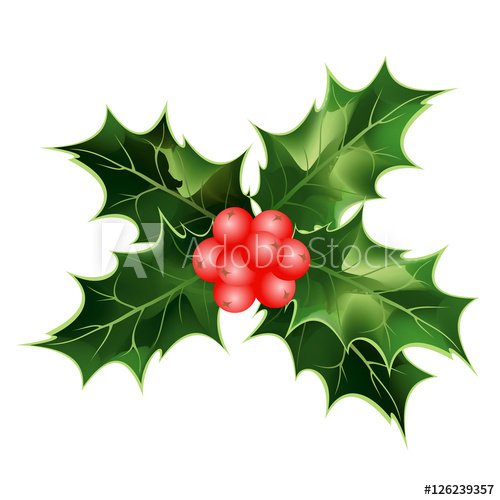 500x500 holly berry hand drawn vector illustration of holly twig - Holly Leaves And Berries Drawing