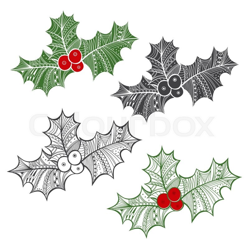 800x800 holly berry set of holly berry stock vector colourbox - Holly Leaves And Berries Drawing