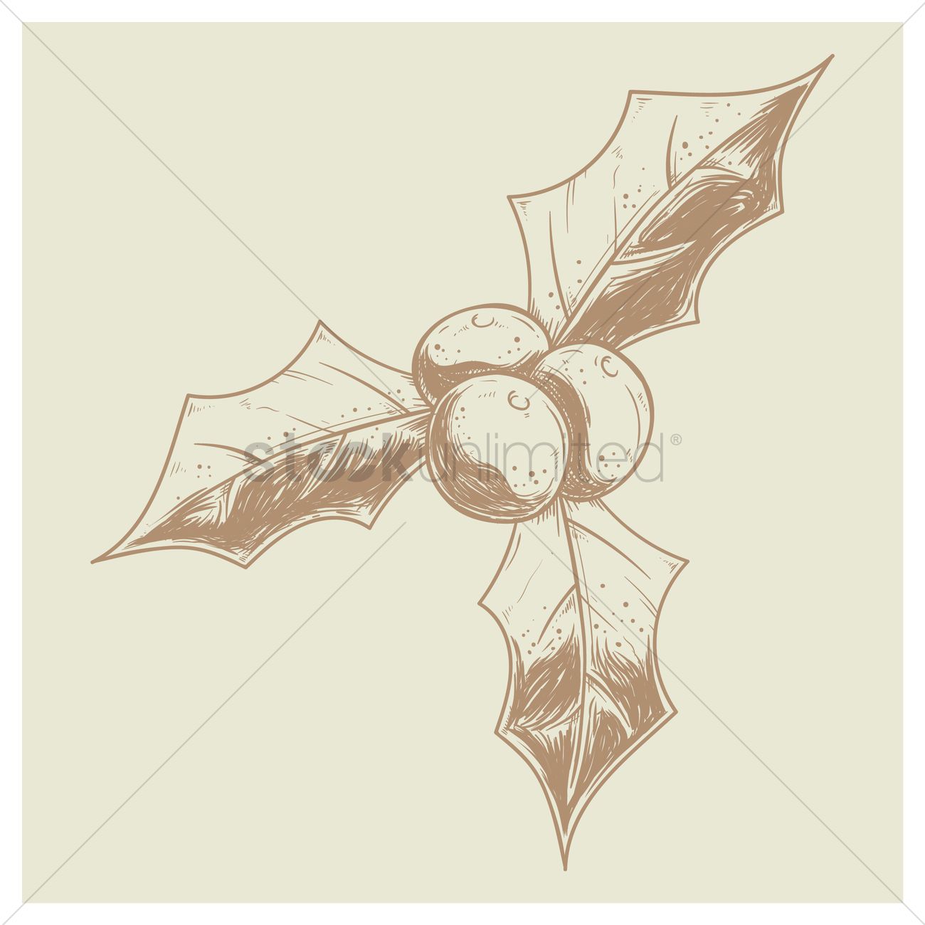 1300x1300 holly leaves and berries vector image - Holly Leaves And Berries Drawing