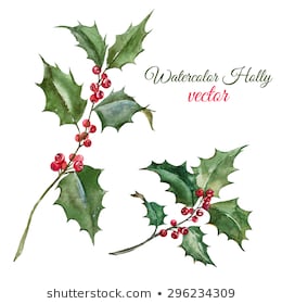 260x280 Huge Collection Of 'holly Leaf Drawing' Download More Than - Holly Leaves And Berries Drawing
