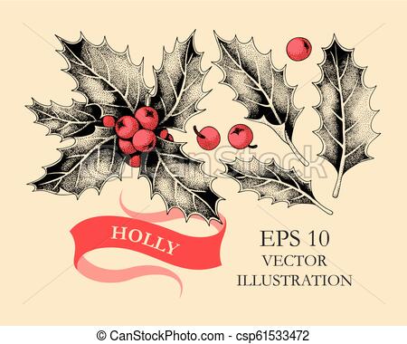 450x380 vector set of holly leaves and berries vector set of hand drawn - Holly Leaves And Berries Drawing