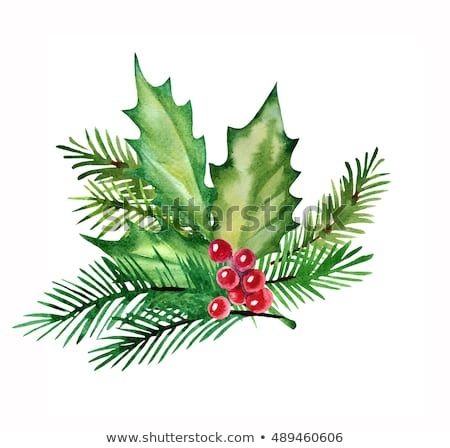 450x448 christmas design element watercolor with holly leaves, berries - Holly Leaves And Berries Drawing