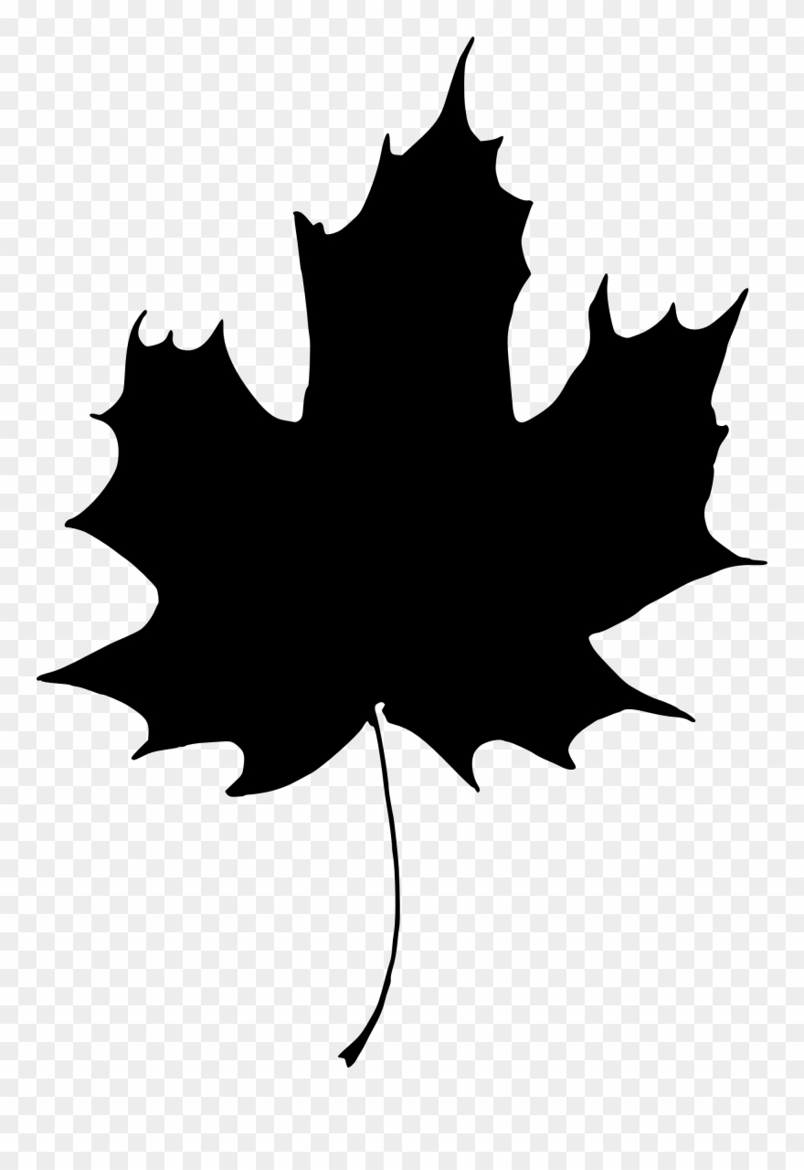 880x1280 clip art library stock berries drawing berry tree - Holly Leaves And Berries Drawing