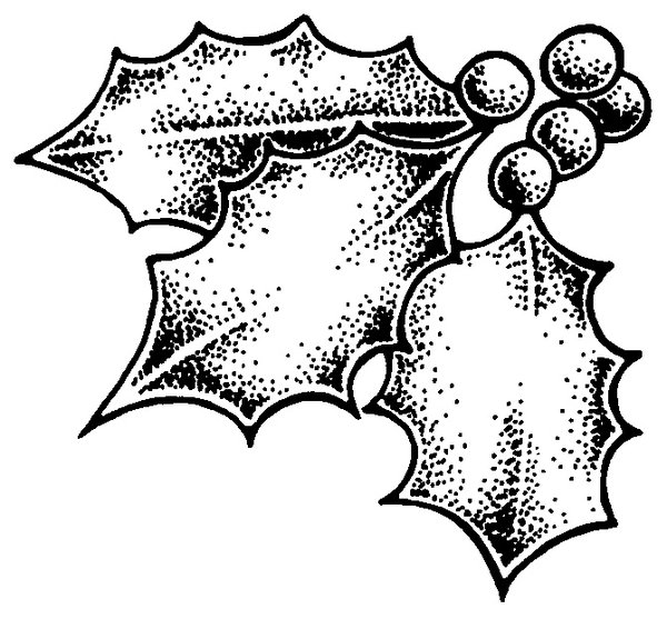 600x557 Collection Of 'holly Line Drawing' Download More Than Images - Holly Line Drawing