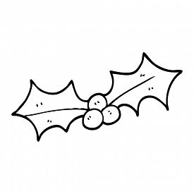 275x275 Holly Berry Photos And Images - Holly Line Drawing