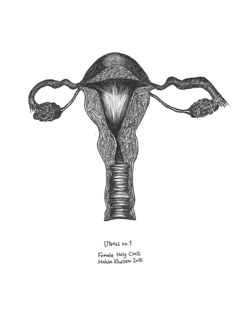 770x996 uterus female holy cross drawing - Holy Cross Drawing