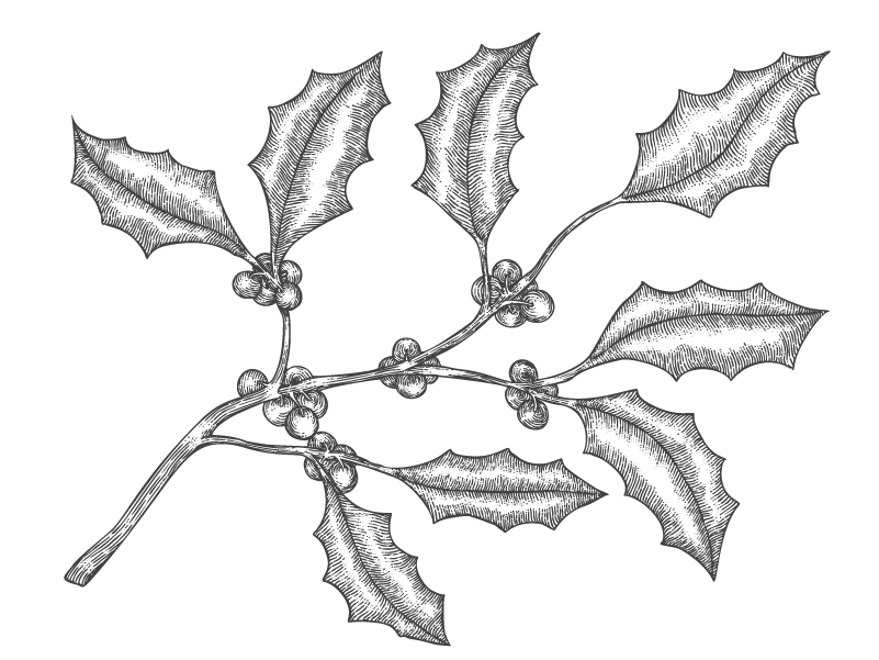 801x601 Pen Ink Drawing - Holy Drawing