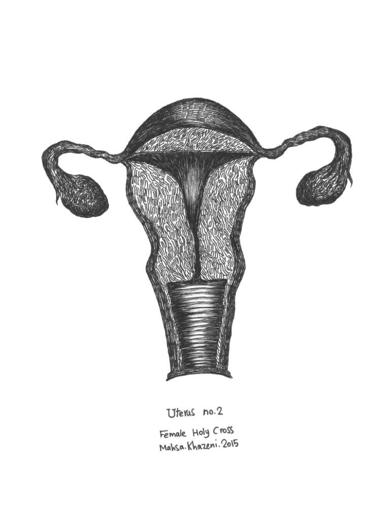 770x996 uterus female holy cross drawing - Holy Drawing