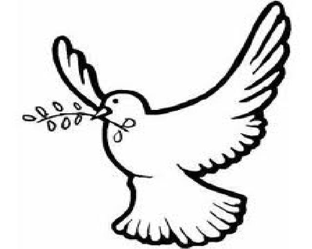 640x512 dove drawing holy spirit for free download - Holy Spirit Dove Drawing