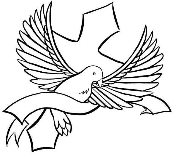 583x520 holy spirit dove drawing free download best dov on quot holy - Holy Spirit Dove Drawing