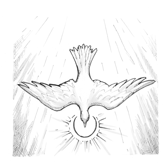540x540 Signs And Symbols Dove Saint Mary's Press - Holy Spirit Dove Drawing