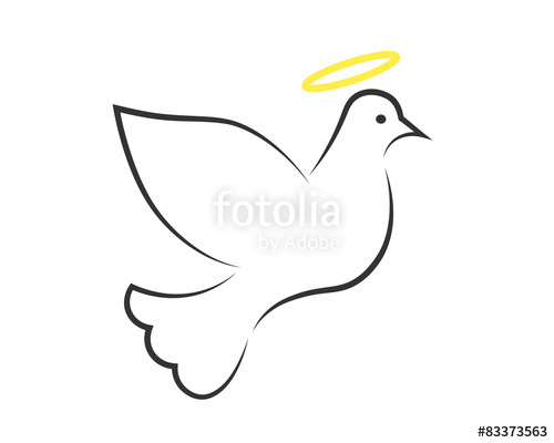 500x400 white dove with halo as the holy spirit symbol stock image - Holy Spirit Dove Drawing