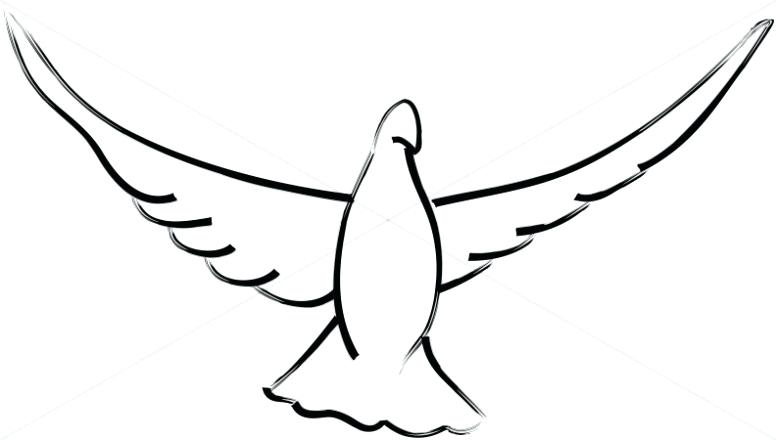 776x440 Drawings Of Doves Enkrateia - Holy Spirit Dove Drawing