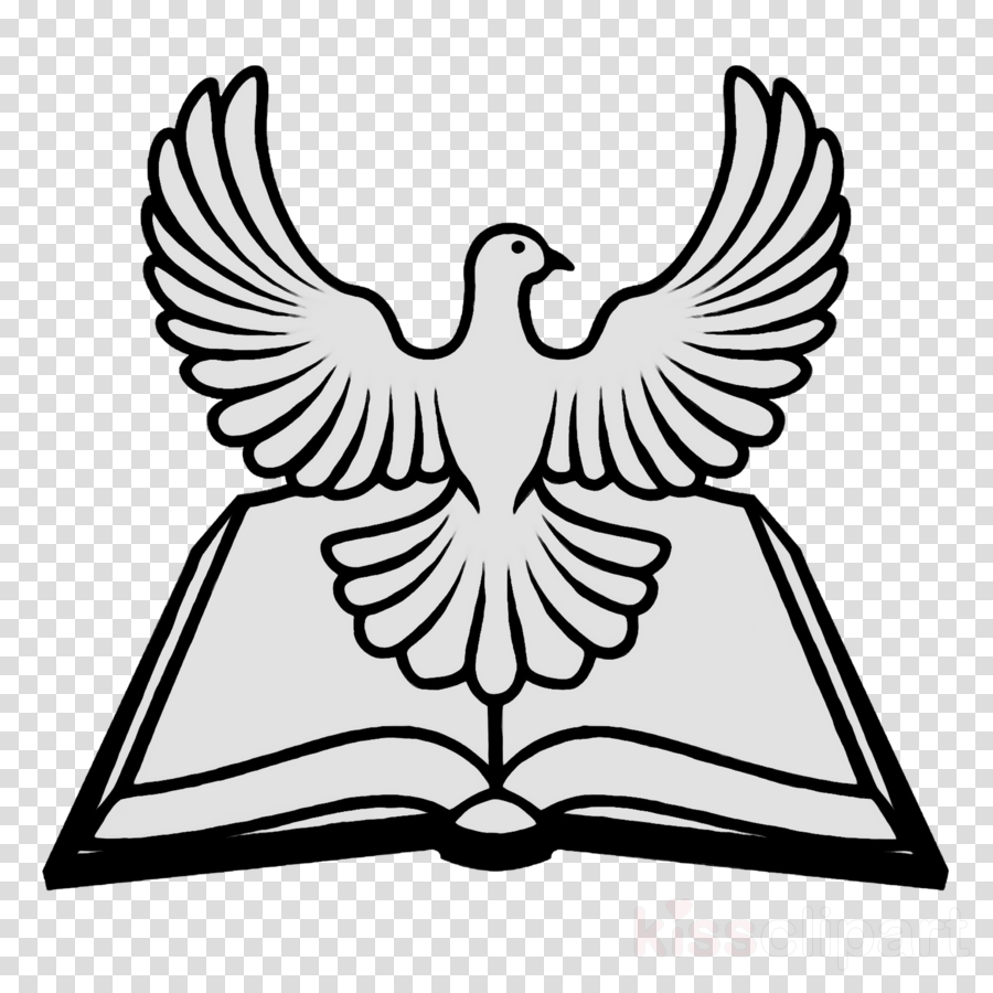 900x900 Drawing, Illustration, Sketch, Transparent Png Image Clipart - Holy Spirit Dove Drawing
