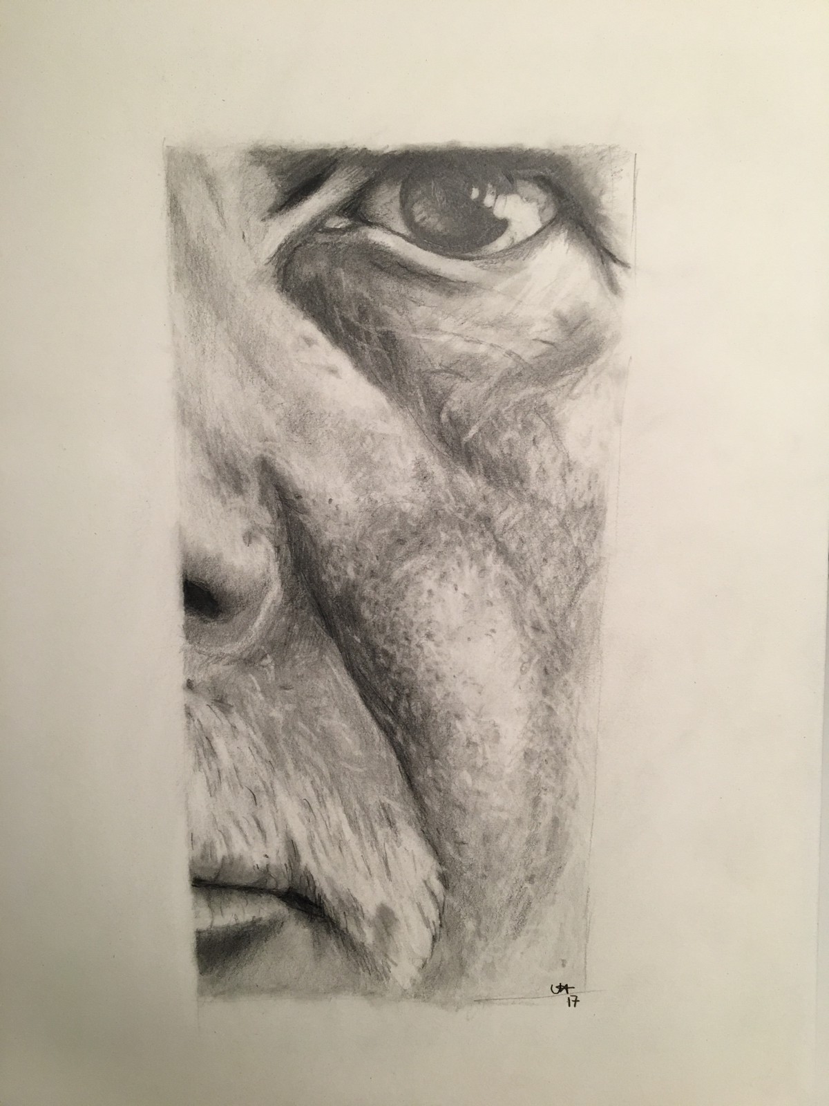 1200x1600 Honesty And Creativity Uwe Hoche Medium - Honesty Drawing