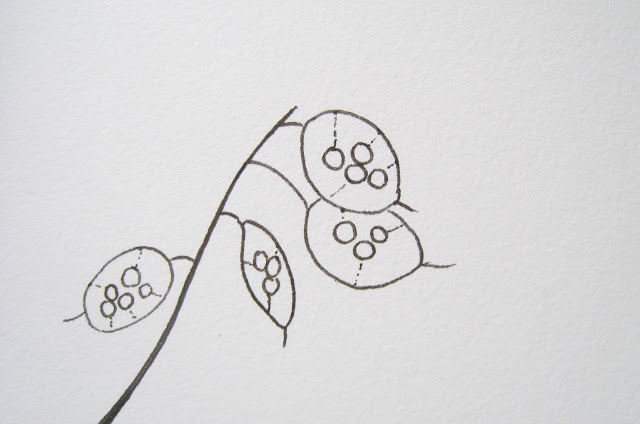 640x424 Writing With Honesty Hannah Richell - Honesty Drawing