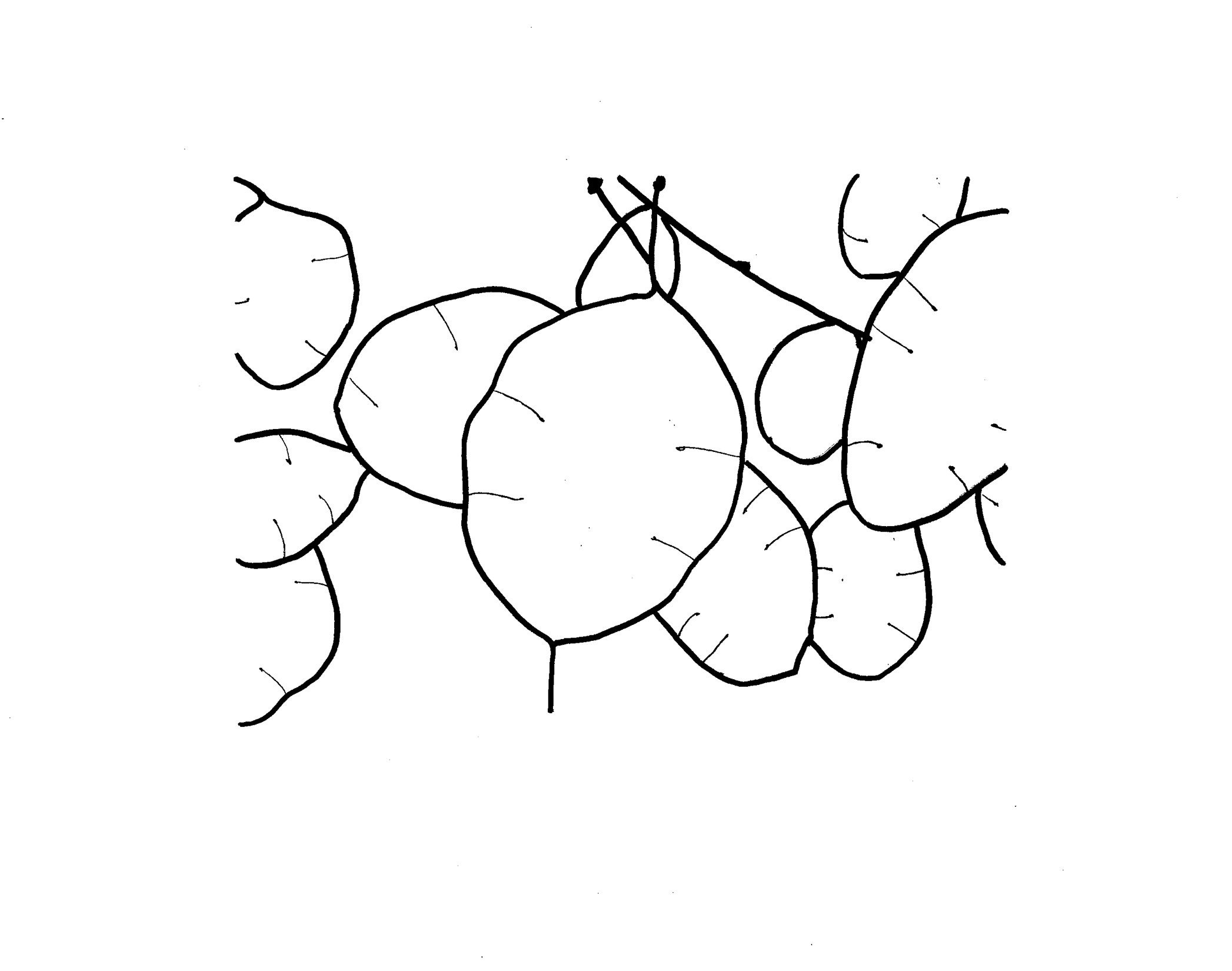 2094x1650 Drawing Bedroom Wall - Honesty Drawing