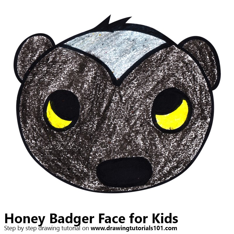 800x800 Learn How To Draw A Honey Badger Face For Kids - Honey Badger Drawing
