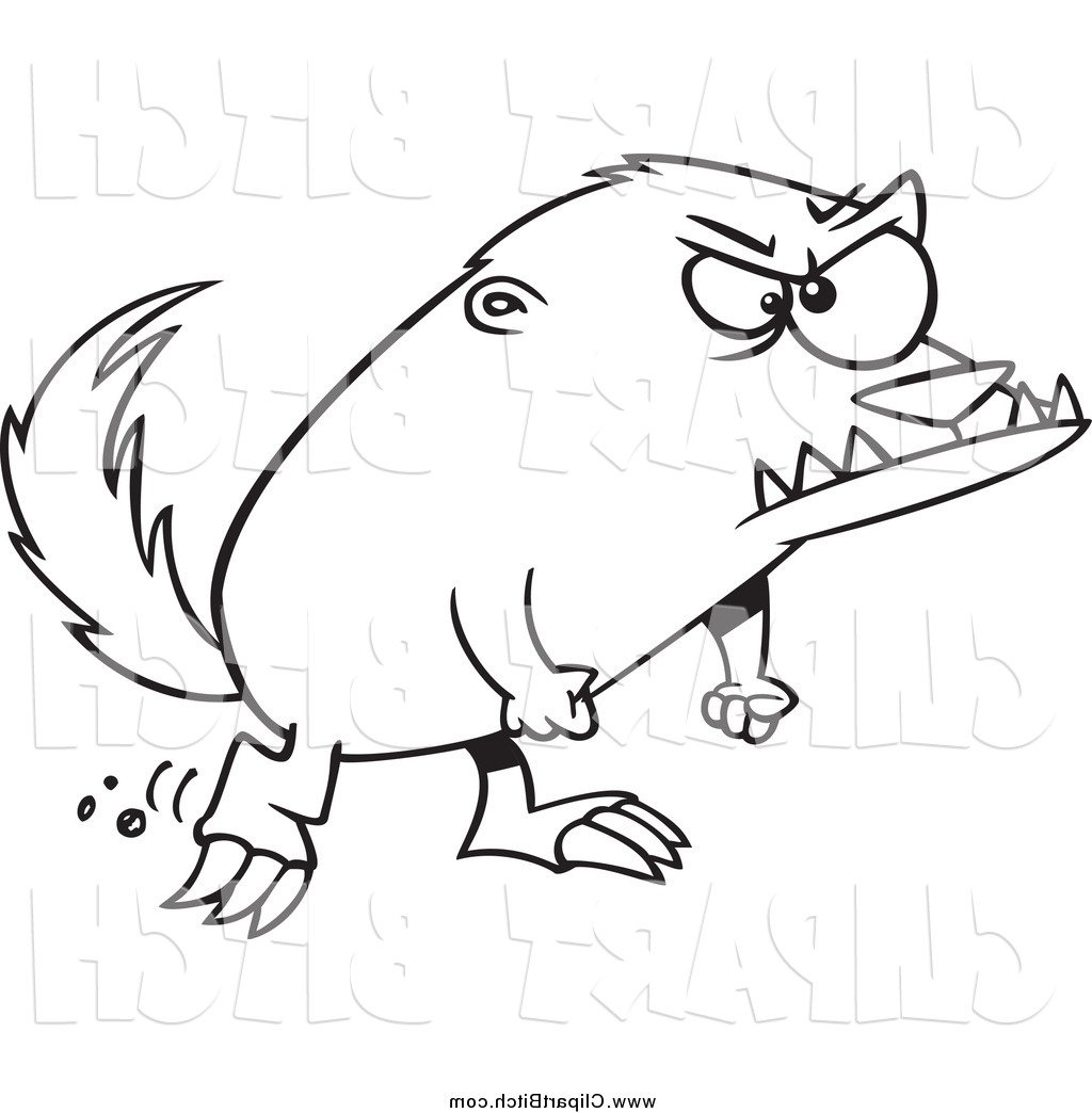 1024x1044 Honey Badger Clipart Drawing - Honey Badger Drawing