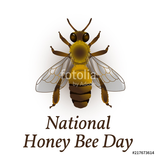 500x500 National Honey Bee Day In Usa Concept Ecological Event Realistic - Honey Bee Drawing