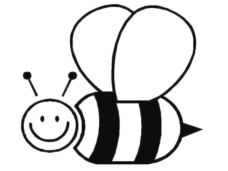 800x600 bee clipart black and white honey bee drawing clip art - Honey Bee Drawing Clip Art